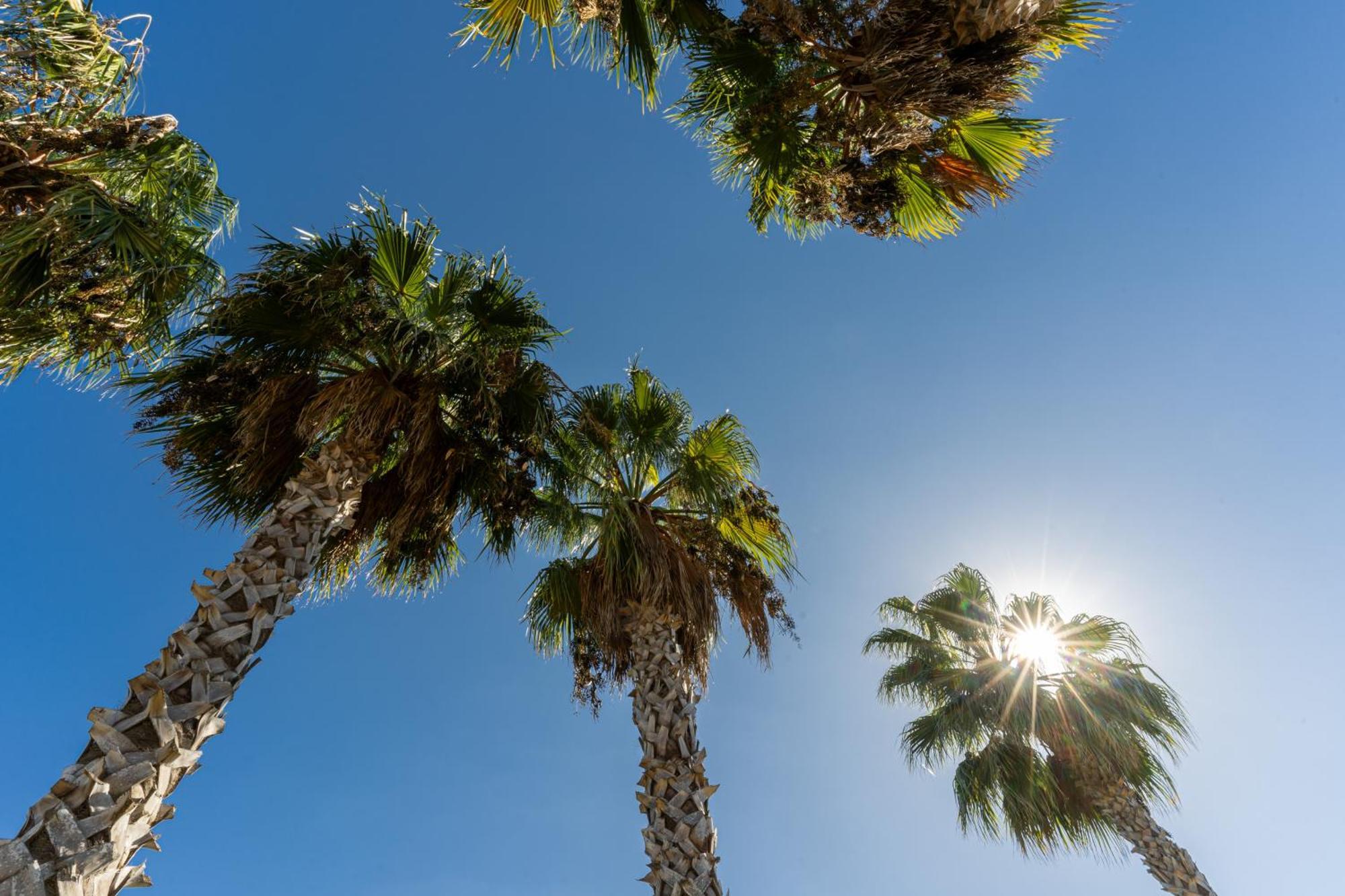 Hotel Masseria Le Pajare Presicce Εξωτερικό φωτογραφία